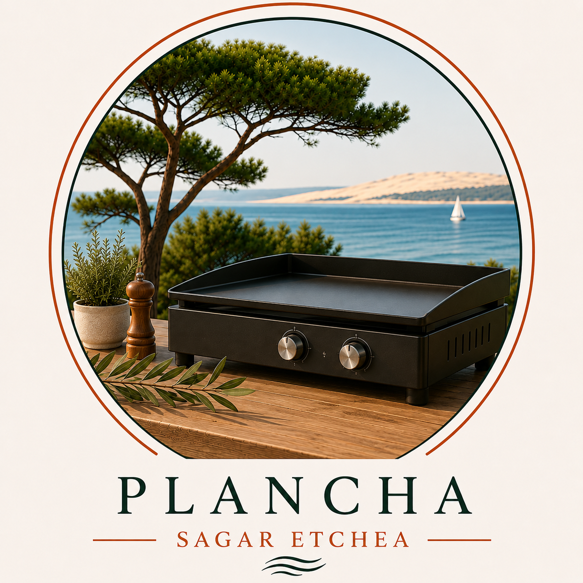 Plancha — équipement Villa Sagaretchea